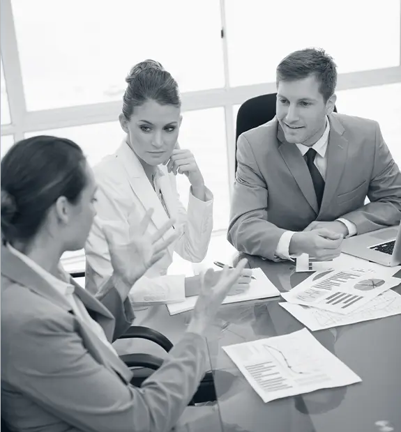 Consultants discussing research methodology and organizational assessment in meeting